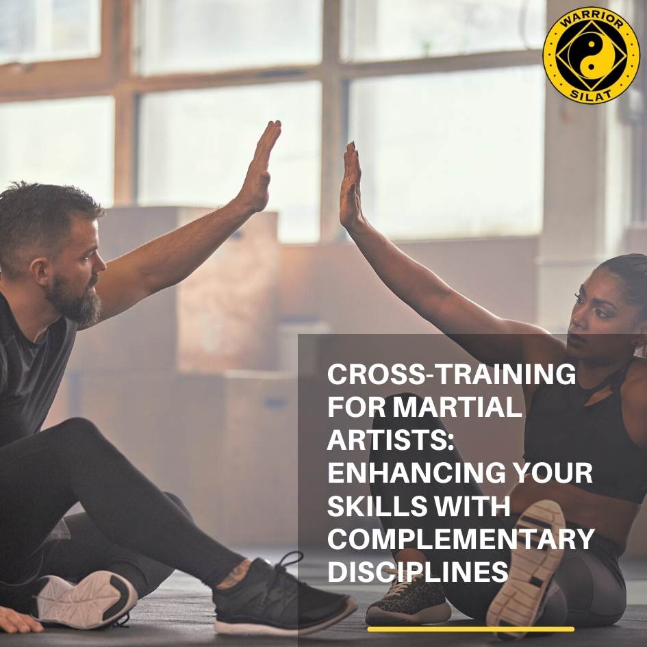 Cross-Training for Martial Artists: Enhancing Your Skills with Complementary Disciplines